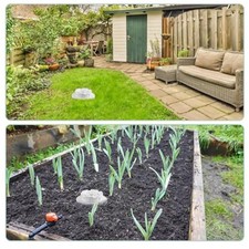 Composteur d'insectes enterré