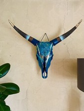 Crâne de Vache Taureau - Bull