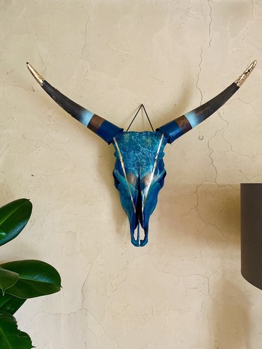 Crâne vache taureau bull - crâne,