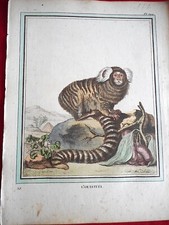 177 GRAVURE XVIIIe  Histoire