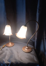 ancienne paire de lampe col de cygne monture laiton et tulipe en pate de verre