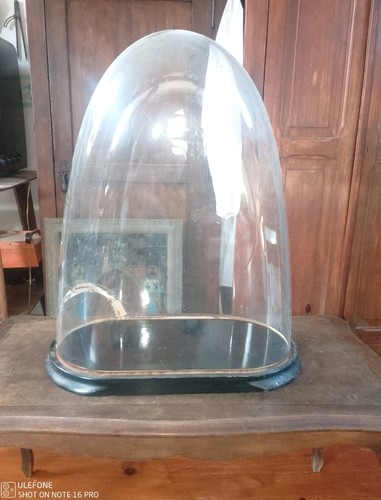Grand globe mariée ancien - grand,