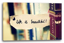 Toile/Cadres La vie est belle