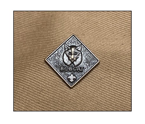 Insigne jamboree scout - insigne,