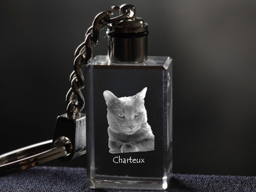 Chartreux chat porte clés - clés, en