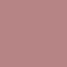 P803 PEINTURE ACRYLIQUE PRINCE