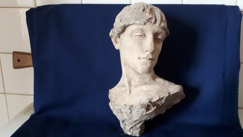 Buste jeune homme - jeune, terre