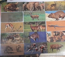 CARTES POSTALES NESTLE MERVEILLES MONDE - 48 - entre 112 et 357