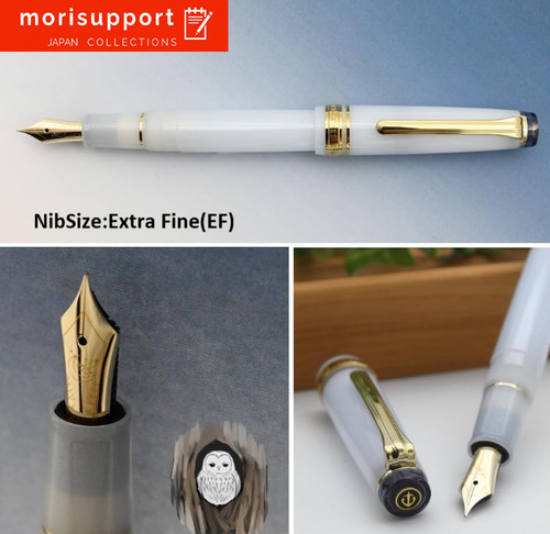 Stylo plume sailor pro - stylo,