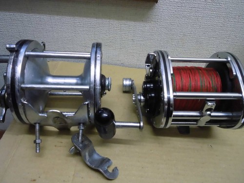Penn senator daiwa - senator, 6/0,