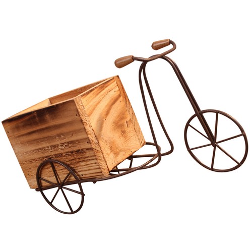 Set fer tricycle plante - 1,
