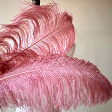 Centre De Table En Plumes