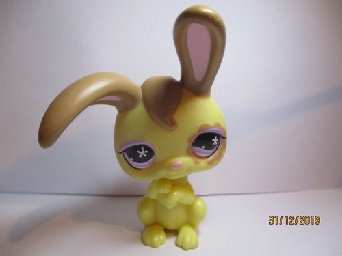 Petshop lapin garenne - lapin, de