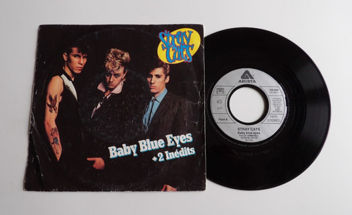 Tours stray cats baby - ,