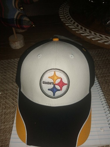 Pittsburgh steelers nfl team - pittsburgh,