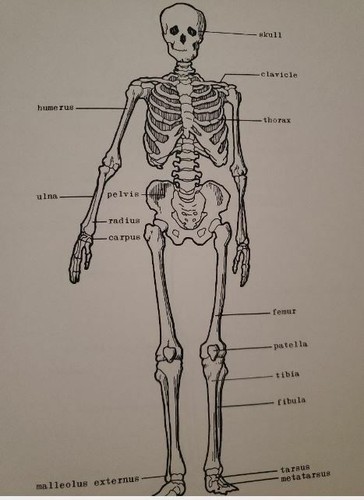 Basic medical reference - basic,