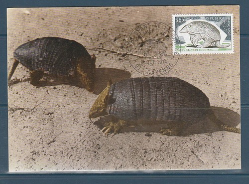 Carte 1er jour nature - carte,