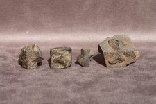 Staurotide Staurolite Minéraux Coray Bretagne Minéralogie Cristal Curiosité