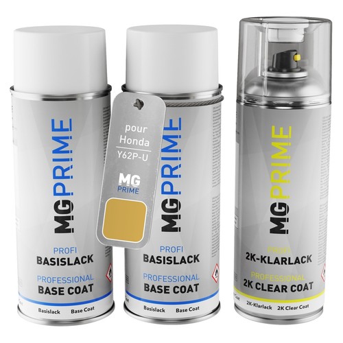 Peinture voiture kit bombe