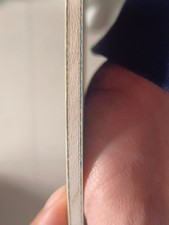 Viscaria JK (Reserved For