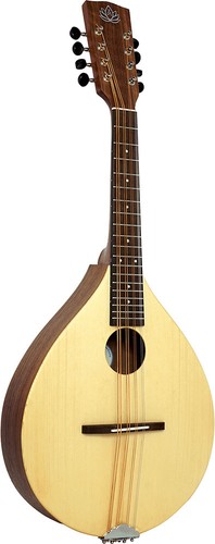 Ashbury style tenor mandola - ashbury,