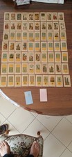 ancien vieux jeux de tarot carte divinatoire etteilla egyptien grimaud duserre