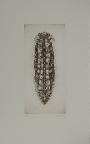 Cécile reims chrysalide - cécile, :