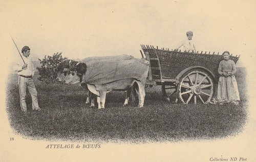 Repro 415 attelage de - 415,