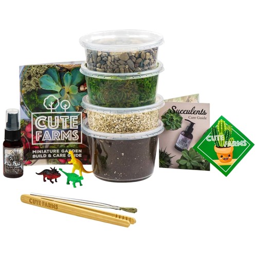 Complete terrarium starter set - terrarium,