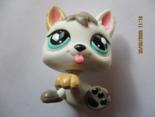 PETSHOP BEBE CHIEN HUSKY (