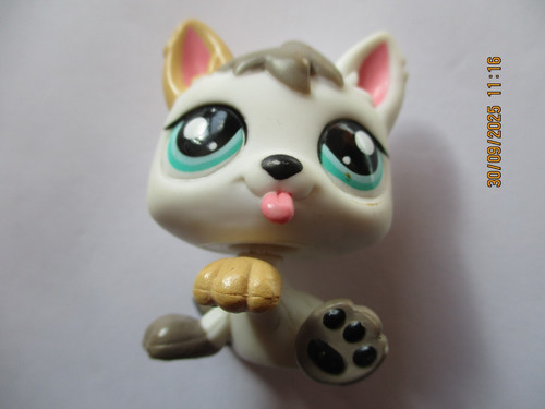 Petshop bebe chien husky - petshop,
