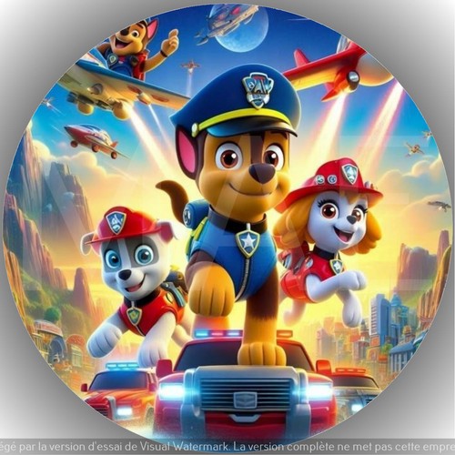 Pat patrouille décoration - .,