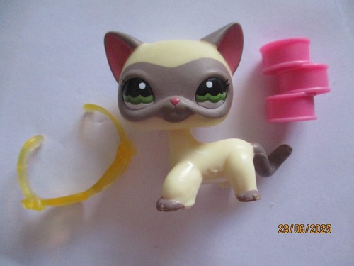Petshop chat europeen - petshop,