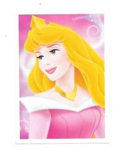 Vignette Disney - Princesse
