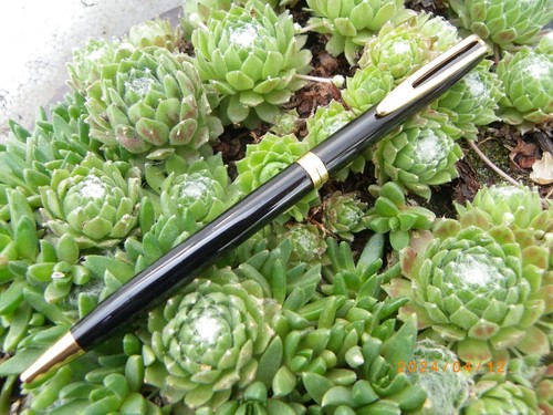 Ancien stylo bille - waterman, cf