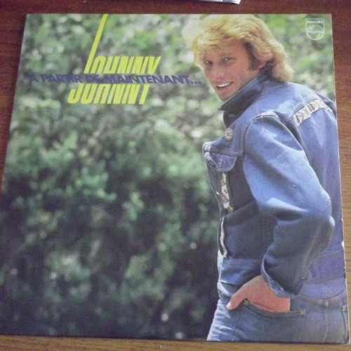 Johnny hallyday disque vinyle - johnny,
