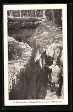 Abri Pour Chevaux Antibombes