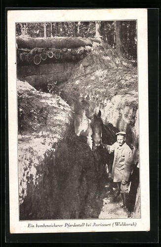 Abri pour chevaux antibombes - abri,