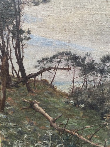 Paysage des landes - landes, pins