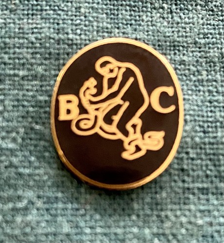 Pin police brigade - police,