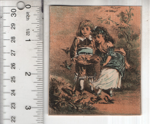 Merchant tailor children - tailor,