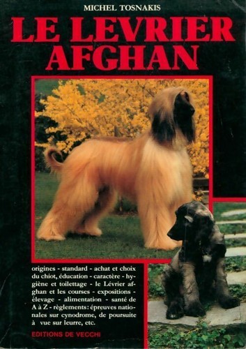 Lévrier afghan michel - lévrier,