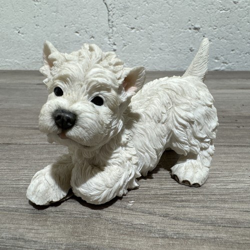 Westie highland terrier puppy - terrier,
