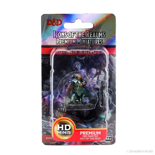 Wizkids donjons dragons - donjons,