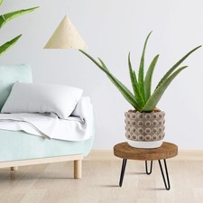 Support à plantes en bois