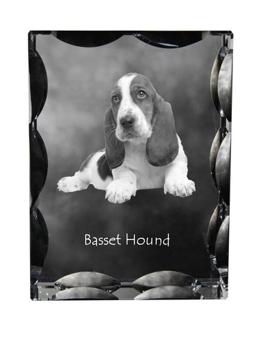 Basset hound cristal - hound,