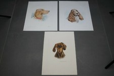 Gravure a l eau forte chien