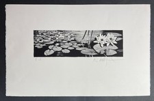 Loïc DUBIGEON "Nénuphar"