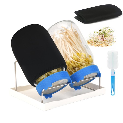 Bocal germination 2 - bocal,