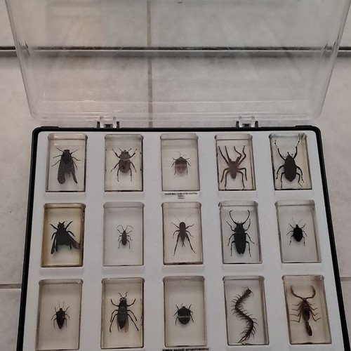 Coffret collection insectes - , &